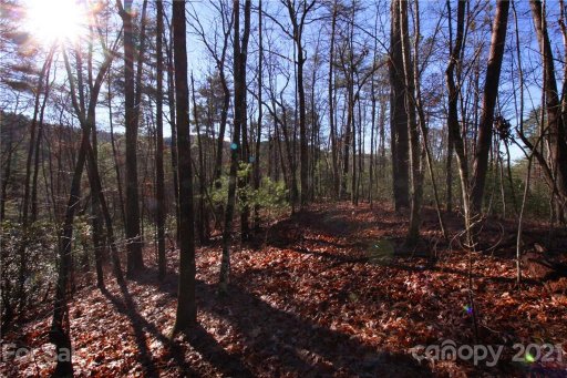 Lot 27 Oconee Bell Lane