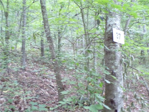 00 Wakulla Way 37