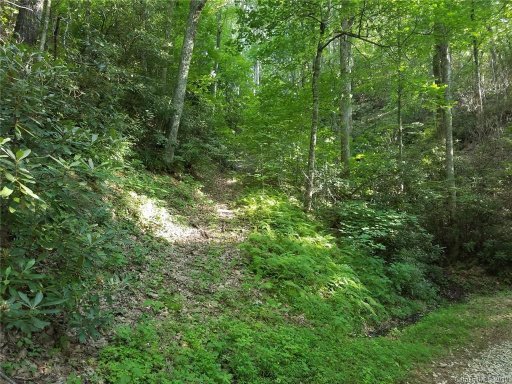 0 Big Ridge Road 203-205