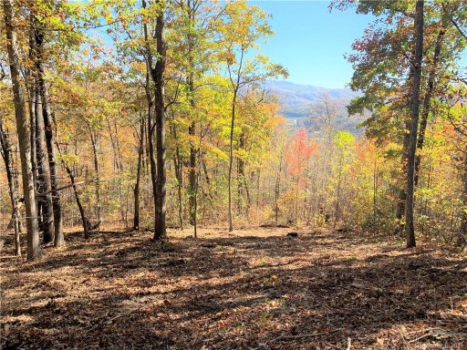 000 Laurel Creek Drive 32