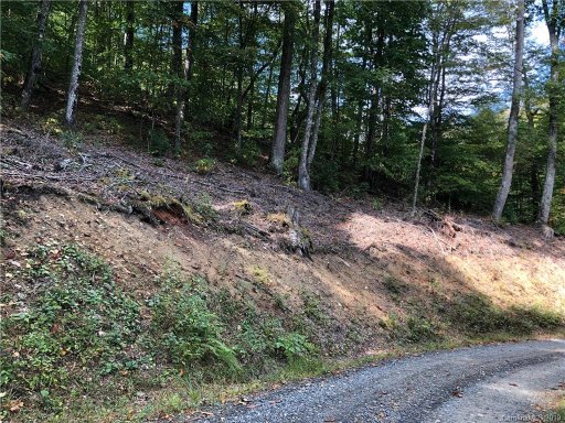 00 Left Fork Run Road