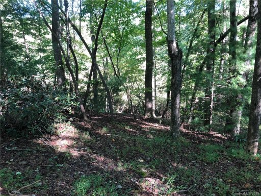 Lot B Echo Lane