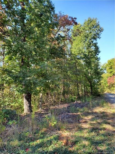 0 Pinnacle Parkway 27