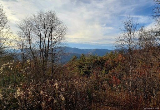 80 Hawks View Drive 67