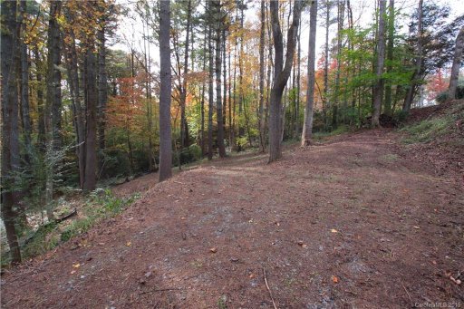 Lot 49 Redwood Road