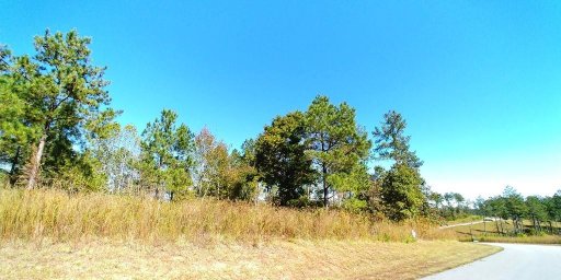 1735 Waters Edge Drive 86