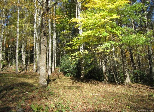 Lot 24 Streamside Drive