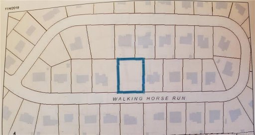 115 Walking Horse Run