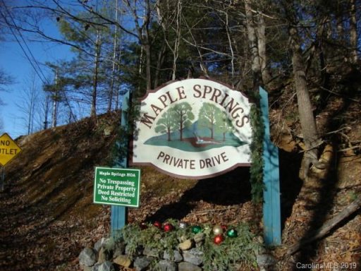 0 Maple Springs Drive 22