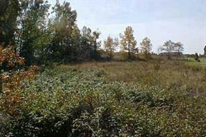 1603 Lewis Farm Road