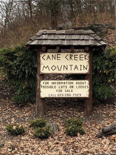 399 Mountain Forest Drive