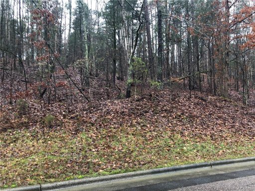 467 Countrywood Place