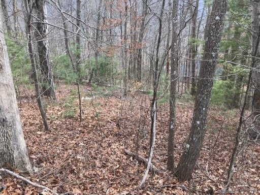 22 Silent Forest Drive