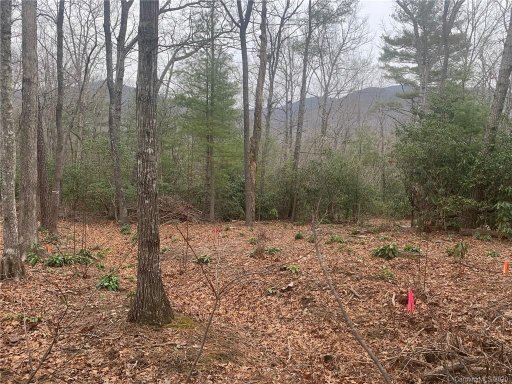 99999 Lynnette Drive 2