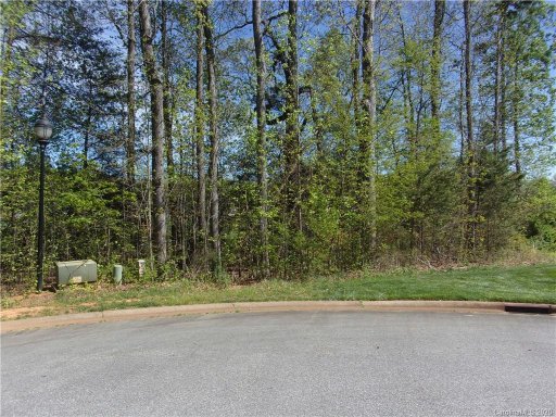 164 Mossy Oak Lane 29