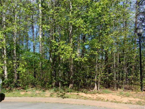 165 Mossy Oak Lane 30
