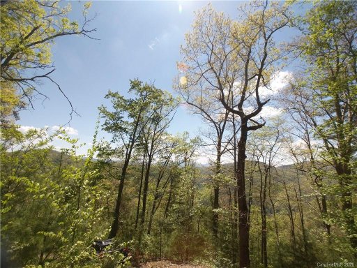 Lot 118 Bear River Lodge Trail