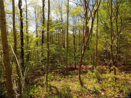 Lot 101 Bear River Lodge Trail