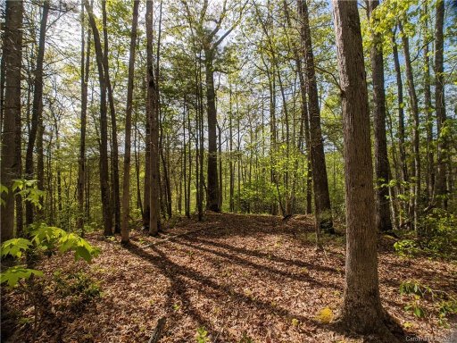 1156 Bear River Lodge Trail 61