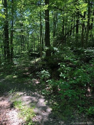 Lot 4b Lower Flat Creek Road 4B