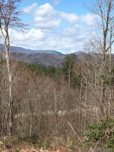 Lot 89 Peppervine Circle