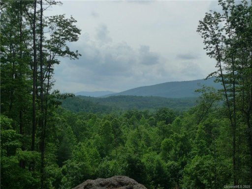 1621 Pisgah Preserve Drive 37