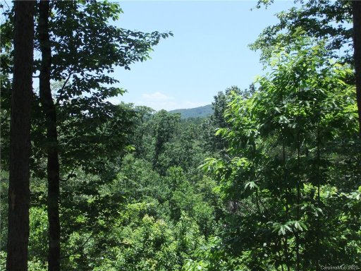 Lot 24 Lure Ridge Drive