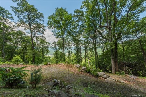 104 Castanea Mountain Drive