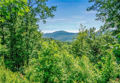63 Boulder Creek Way 22