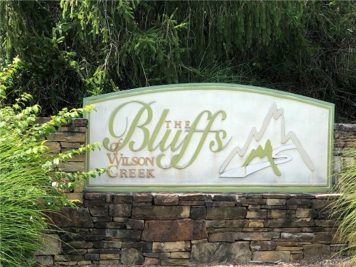 0000 Collette Ridge Circle 60