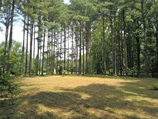 000 Fox Briar Drive 4