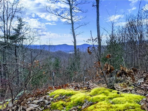 342 High Hickory Trail Trail 19