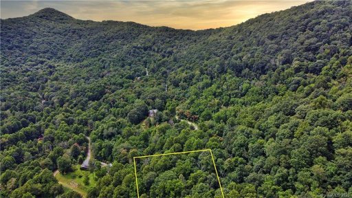 Tbd Purple Martin Lane