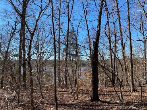 0 Skyline Drive 432