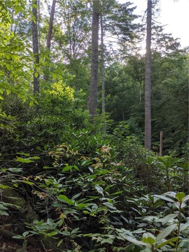 Lot 17 Rock Creek Trail Road
