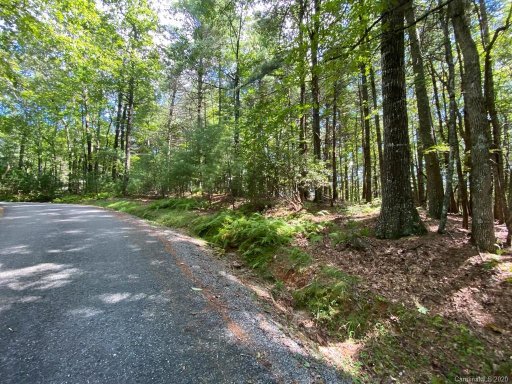 Tbd Sassafras Road 6A