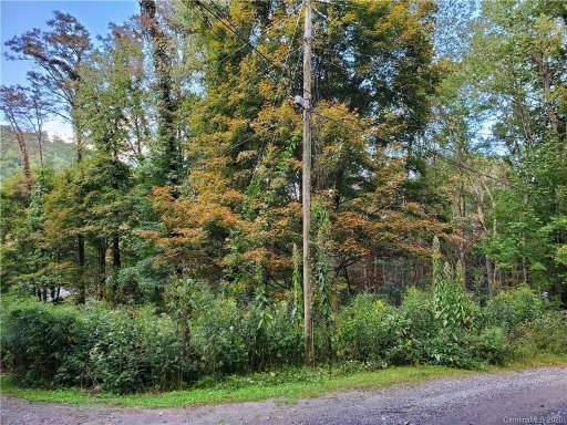 Tbd Burnt Fork Trail