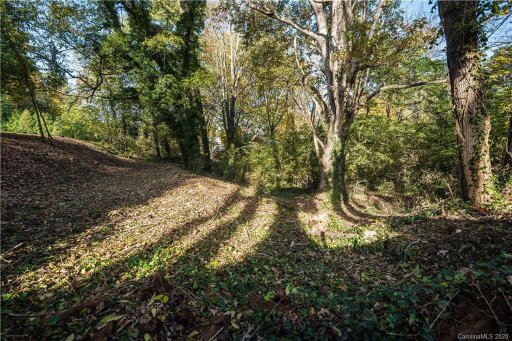 58 Albemarle Road 21