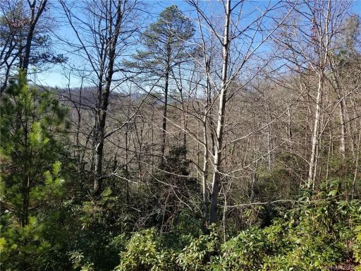 Lot 7 Laurel Hollow Road