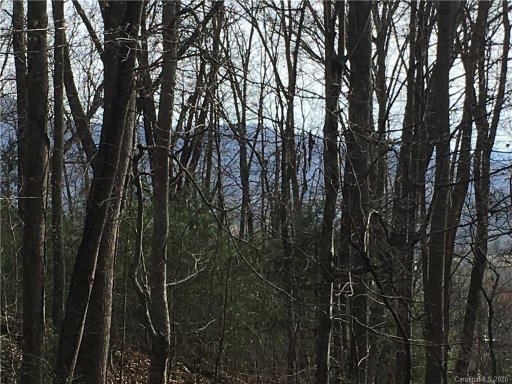 Lot 15 Village Coyote Hollow Road