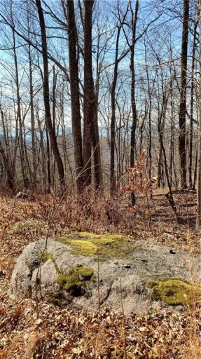 0 Doubleview Drive Lot 11