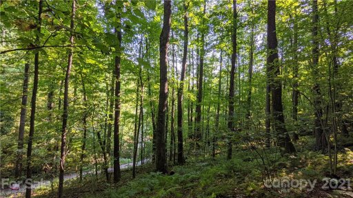 99999 Sand Branch Road