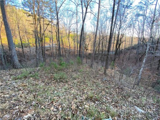 0 Bills Mountain Trail 257