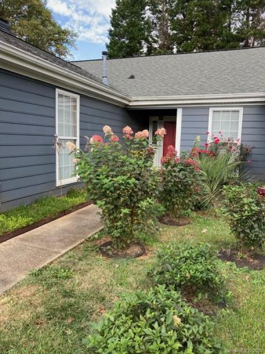 9135 Agnes Park Lane