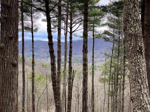 62 Bartrams Walk Drive 56