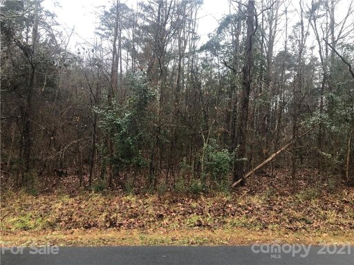 0 Lake Head Road 218