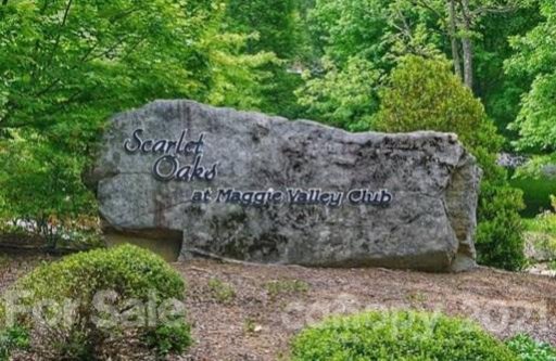 00 Trout Lily Lane 7