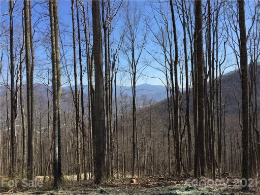 1353 Daydream Ridge 57