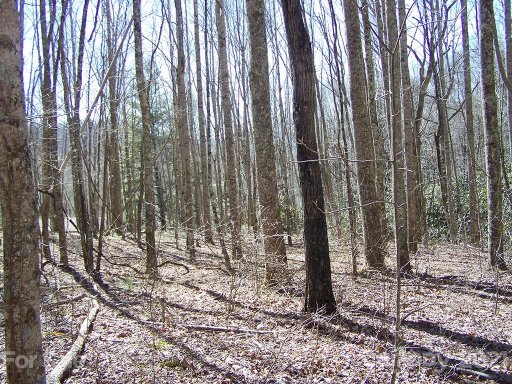 Lot 19 Quail Cove Road