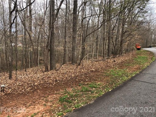 0 Shady Woods Lane 39